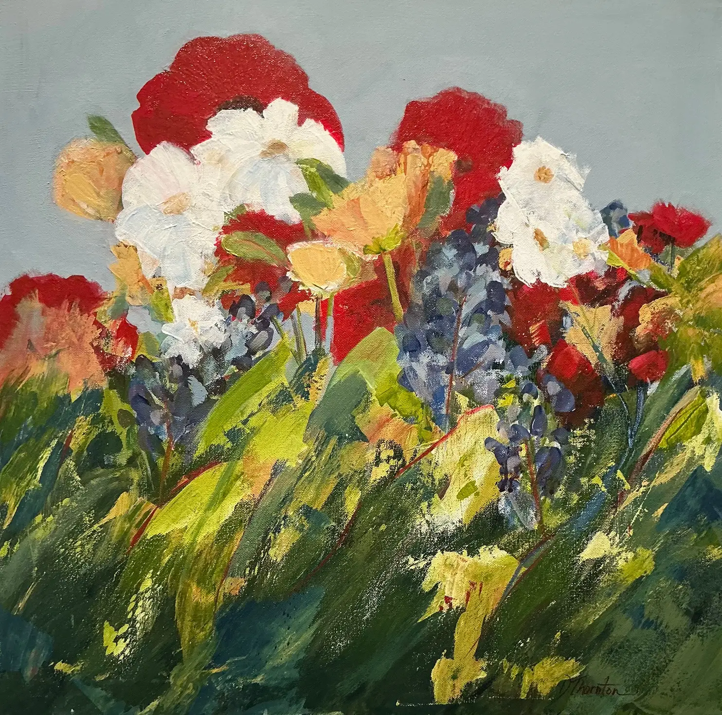 multi color flowers in bloom